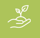 Icon Nivaria Projekte