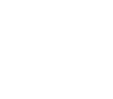 Icon Nivaria Förderung