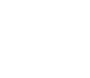 Icon Nivaria Projekte